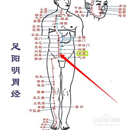 水土穴|水道穴位置 